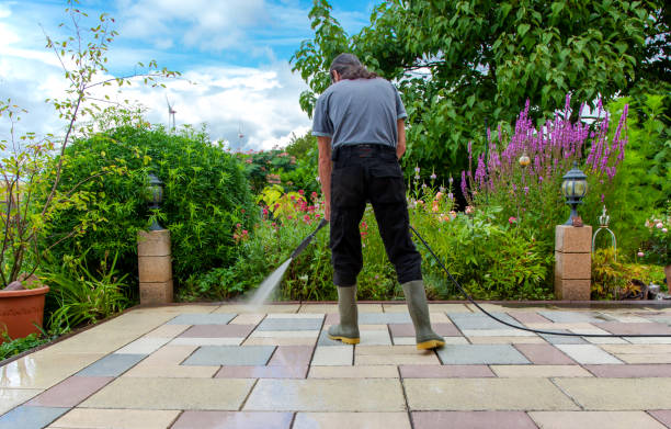 Best Spring Cleaning  in Brevard, NC