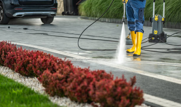 Best Fence Cleaning  in Brevard, NC